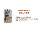 猫 専門 ペットを迎える前の相談承ります 終生飼養の視点で、犬猫飼養アドバイザーが一緒に整理します イメージ5