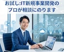 お試し:IT新規事業開発のプロが相談にのります 「3ヶ月3万円で壁打ち」のお試しプランになります イメージ1