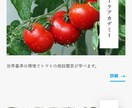 低価格で高品質なサイトを制作いたします 制作会社での実務経験を活かした高品質なサイト制作 イメージ6