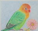 主に、動物とお花のイラストを色鉛筆で描いています ご自身用・贈り物などにどうぞ♪ふんわりしたタッチで描きます。 イメージ4