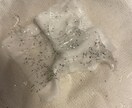 ヒゲ脱毛で結果を出せてないオーナー様救います 効果が出ない原因を徹底改善！1ヶ月で別人にできるサロンへ。 イメージ3