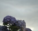 寂しい 不安 弱音を吐きたい あなたに寄り添います 一人で寂しいとき…今感じてる、その気持ちを話してみてください イメージ9