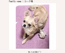 愛しの家族をイラスト化します スマホ待ち受けにしていつも一緒(^^) イメージ2
