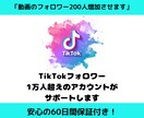 Tiktokのフォローを200件増やします ☆安心の60日保証☆フォロー200人を集客します！ イメージ1