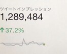 徹底的にTwitterコンサル致します 1日2ツイート以下でフォロワー激増⁉︎SNS集客の極意★ イメージ3