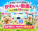 ペット写真1枚からAIリール動画15本作ります 写真1枚でOK！愛犬・愛猫がSNS動画の主役に イメージ2