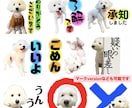 可愛いペットの写真をLINEスタンプにします 可愛いペットの写真を使って可愛いLINEスタンプにします♪ イメージ2