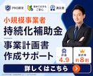 1枠∥小規模事業者持続化補助金の計画書を支援します 【ココナラNo1】短納期・高品質で個人／法人の採択実績多数 イメージ1