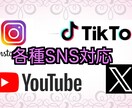 TikTokのフォロワー増やします 即日対応可！各種SNS対応！保証あり！お気軽にどうぞ！ イメージ2