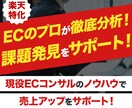 楽天店舗パフォーマンス分析！改善提案レポートします 楽天店舗の課題を徹底分析！具体的な改善提案をレポートします イメージ1