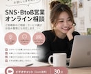 SNS・BtoB営業のオンライン相談に対応します サービス選びやご依頼内容について30分ビデオチャットでご相談 イメージ1