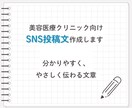 美容医療・美容クリニック関連の文章作成をします 美容医療・美容皮膚科のSNS投稿文を専門知識ベースで作成 イメージ1