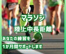 マラソン・中長距離の練習を１カ月間サポートします １か月間　練習メニューの提供＋フィードバック、質問相談対応 イメージ1