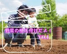 某テレビ番組の監修者が家庭菜園の悩みお答えします 家庭菜園で何から始めようか迷っている、失敗した事がある貴方へ イメージ2
