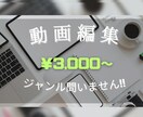 YouTube等の動画編集作業を承ります ジャンル・媒体問わず対応いたします イメージ1
