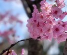 愚痴・悩み・他愛もない内容なんでも聞きます‼︎ます 身近に相談できる方がいない、とにかく誰かと話したいを叶えます イメージ1