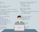 プラグラミング学習の「わからない」を解消します php等プログラミング学習の、「わからない」を解消します！ イメージ1