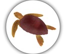 実在「魚」専門★透明感ある実写風アイコン描きます 生き物好きさん、釣り好きさん必見！唯一無二のお魚アイコン イメージ4