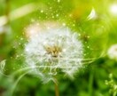 あなた一人に寄り添い♡落ち込んだ心に命を注ぎます 【疲れた心♡うつでも大丈夫♡愛のシャワーがあなたを包み込む】 イメージ4