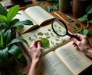 写真1枚でOK！お庭・ベランダの植栽を診断します 植物の“お困りごと”『モヤモヤ』【悩み】を診断します。 イメージ2