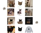 ペットのお写真加工します Tシャツやグッズに使えるようにお写真加工します✨ イメージ2