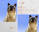 ペットのご遺影作成致します ペットとの大切な思い出を残しませんか？ イメージ6