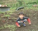 育児でお悩みママさんへ5人息子の母の育児術教えます ズボラで手抜きな子育て術でもっと楽に子育てを楽しんでね！ イメージ1