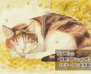 先着3件限定価格｜ペットのリアルな水彩画描きます B5サイズです。配送オプションで原画をご自宅用やプレゼントに イメージ3