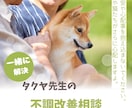 心配、不安、その悩みの解決の糸口を見つけます どうしたらいいのだろうか、その思い、一緒に解決しましょう！ イメージ1