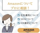 プロがAmazon販売者様のご相談に乗ります 【限定価格】現役Amazonコンサルタントがご相談乗ります！ イメージ1