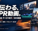 商品やサービスの魅力が伝わるPR動画を制作します SNS・Web向けにテロップとBGMまで対応 イメージ2