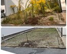 大阪、奈良● 田、畑、お庭の草刈りを代行いたします プロと変わらぬ技術力でスピーディーかつ丁寧な作業を実施します イメージ2