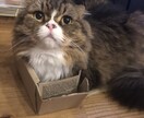 どんな話も聞きます 周りの人には話せない事ありますか？？ イメージ1