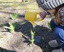 海外のモンテッソーリ教育についてお伝えします 話題のモンテッソーリ教育！海外の様子が気になりませんか？ イメージ2