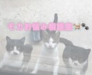 年齢性別問わず、内容問わず相談に乗ります 学生様・主婦様・女性・男性の方問わず親身になってお話聞きます イメージ1