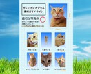 AI × 職人技❗️ガシャポンカプセル画像にします 話題沸騰❗️世界で1つのAIカプセル画像 イメージ3