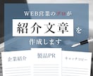 WEB営業のプロが事業・製品の紹介文章を考えます 効果的且つ営業力・信頼性の高いセールスライティングをします イメージ1