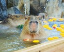自己評価が低い方の為にお話しうかがいます もっと楽になれるコツ教えます！ イメージ2