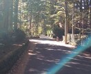 風景や花の写真を投稿します ずっと、見ていたくなったから皆さんに届けたい。 イメージ6
