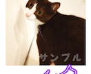 ペットのサイン制作します 〜写真にサインを書き込んでプレゼント〜爬虫類も大歓迎 イメージ3