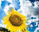 タイムセール　あなたが生まれてきた意味を教えます あなたの使命は、なんですか？１日限定　１名様鑑定 イメージ6