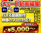 バズる！ショート動画を作ります 映像制作のプロがショート動画を作ります！ イメージ1