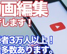 中堅YouTurber編集実績多数！動画編集します ビジネス系からエンタメ系からゲーム系まで幅広く経験アリ イメージ1