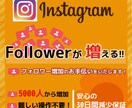 インスタのフォロワー5000人以上宣伝します ■世界中フォロワー■30日間減少保証付★いいね付き★ イメージ1