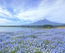 不安やモヤモヤ解消♪チャット鑑定します 毎日の悩みは尽きないもの。タロットから見るあなたの未来♡ イメージ4