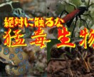Youtubeに最適なサムネイルを提供します 1枚500円！魅力的なサムネイルで動画を目立たせましょう イメージ10