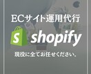 ShopifyのECサイト運用代行をします Shopify運用、丸投げしませんか？ イメージ1