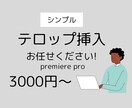 テロップ挿入いたします シンプルでわかりやすいテロップをあなたの動画に！ イメージ1