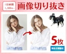 低価格で高品質！丁寧な手作業で画像切り抜きます 【5枚1,000円】ECサイトやフリマアプリに最適な画像へ。 イメージ1