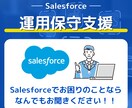 Salesforce運用保守対応させていただきます 些細な事でもご相談いただけると嬉しいです！ イメージ1